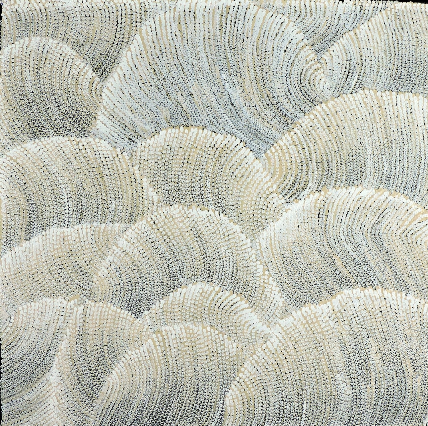sand dune 